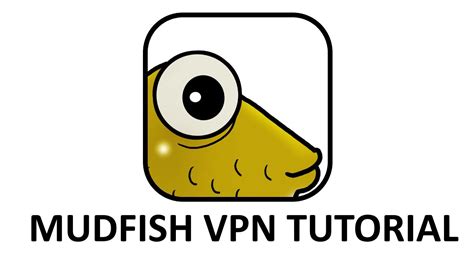 Mudfish vpn. Things To Know About Mudfish vpn. 